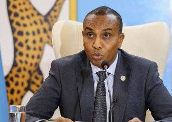 رئيس الوزراء الصومالي: لا حاجة لحمل السلاح بمقديشو