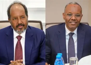 لفتاغرين ينفي وجود أي مفاوضات سياسية مع مقديشو