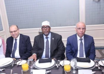السفير الصومالي في القاهرة يشارك حفل وداع عربي رفيع