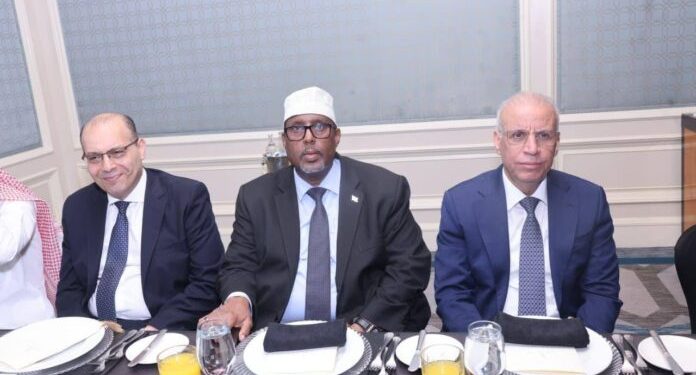 السفير الصومالي في القاهرة يشارك حفل وداع عربي رفيع