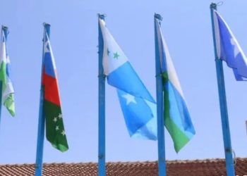 أربع ولايات تنسحب من إعداد استراتيجية الثروة السمكية