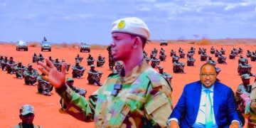 قوات الشمال الشرقي تفرض سيطرتها على أريعديي