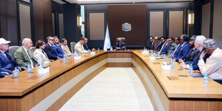 الرئيس الصومالي يبحث آفاق الاستثمار مع مستثمرين إيطاليين