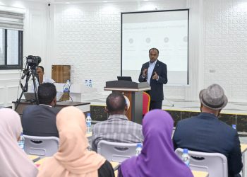 وزير الدولة للخارجية يستعرض نجاحات دبلوماسية الصومال