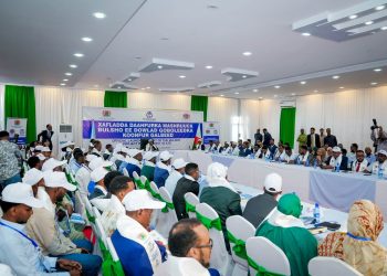 آدم مدوبي يطلق مشروعًا لتعزيز التنمية المحلية