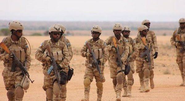 قوات دنب تستهدف مواقع الشباب في شبيلي السفلى