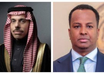 مقديشو والرياض تؤكدان دعم سيادة الصومال وأمنه البحري