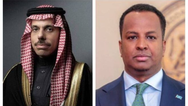 مقديشو والرياض تؤكدان دعم سيادة الصومال وأمنه البحري