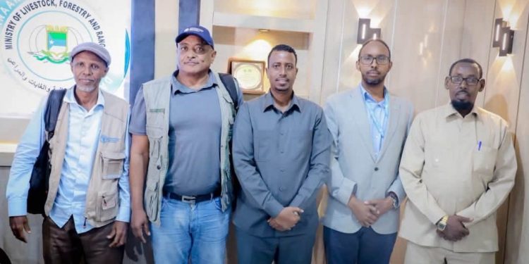 جوبالاند و”الفاو” تعززان الشراكة لتطوير قطاع الثروة الحيوانية