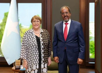 حسن شيخ يستقبل مرشحة أممية لمنصب الأمين العام