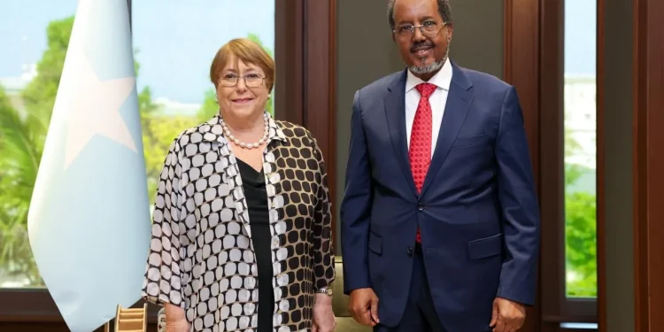 حسن شيخ يستقبل مرشحة أممية لمنصب الأمين العام