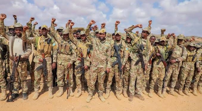 عملية قرب الحدود الصومالية الكينية تطيح بقيادي بالشباب