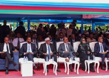 تنصيب آدم مدوبي يعزز استقرار جنوب الغرب السياسي