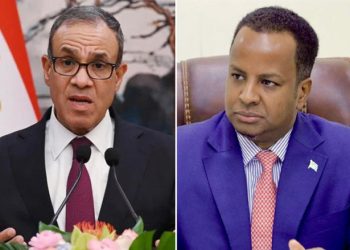 الصومال ومصر تعززان التنسيق بشأن القرن الإفريقي