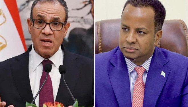 الصومال ومصر تعززان التنسيق بشأن القرن الإفريقي