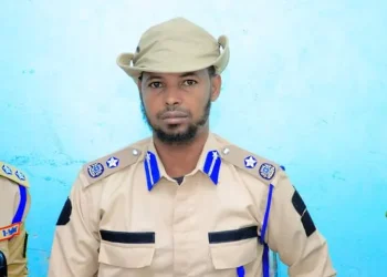 بونتلاند تحذر من تجنيد يهدد استقرار إقليم مدغ