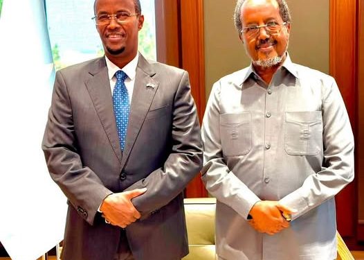 حسن شيخ وغودلاوي يبحثان مستقبل قيادة هيرشبيلي