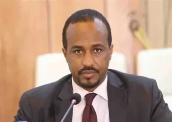 وزير فيدرالي يدعو لوقف نزاع سناغ فورًا