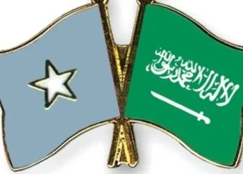 شجب صومالي للهجمات على السعودية وتأكيد التضامن