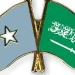 شجب صومالي للهجمات على السعودية وتأكيد التضامن