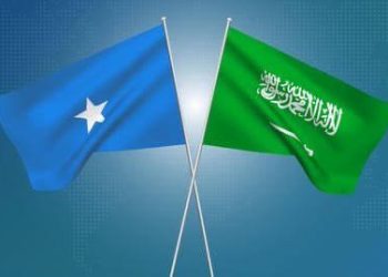 الصومال تدين تهديدات أمن السعودية والملاحة الدولية
