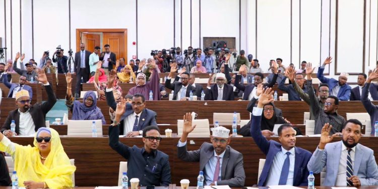 البرلمان الصومالي يقر عضوية نور بلجنة حقوق الإنسان