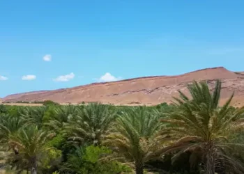 اشتباك مسلح بسبب نزاع على أرض قرب بوصاصو