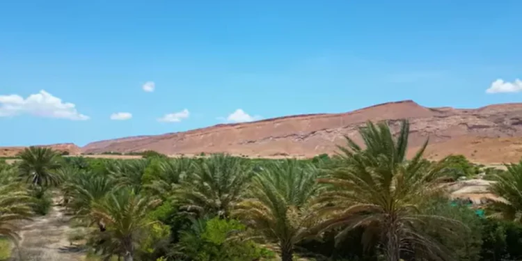 اشتباك مسلح بسبب نزاع على أرض قرب بوصاصو
