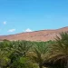 اشتباك مسلح بسبب نزاع على أرض قرب بوصاصو