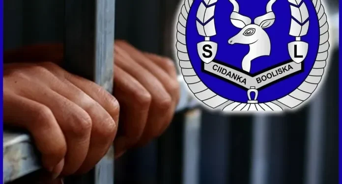 جريمتا قتل عائليتان تثيران صدمة واسعة شمال الصومال