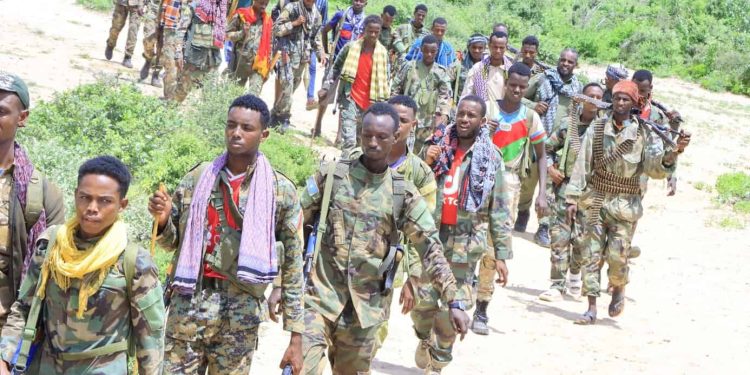 بيدوا تفتح باب التجنيد لتعزيز صفوف القوات الحكومية