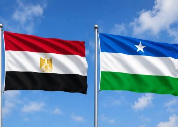 بونتلاند تعلن منحًا مصرية لدعم التعليم العالي والبحث