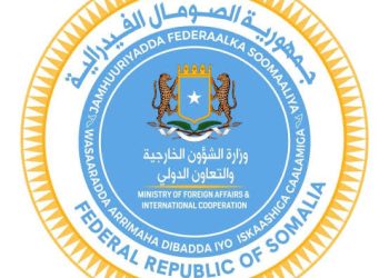 الصومال تحسم الجدل وتؤكد ثبات موقفها من قبرص