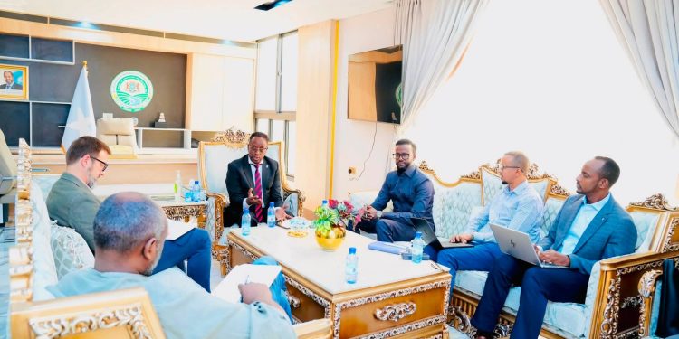 الصومال ومنظمة دولية تبحثان الاستثمار الزراعي وتعزيز الصمود
