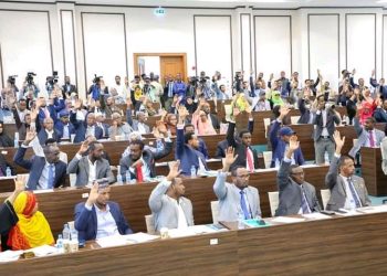 نواب يقدمون مذكرة لسحب الثقة من وزير الداخلية الفيدرالي
