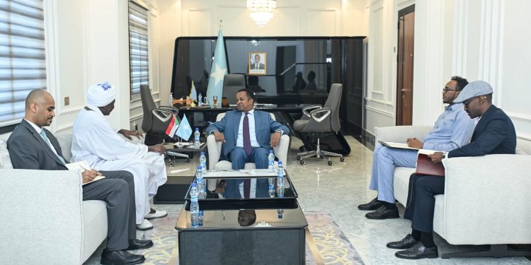 مقديشو والخرطوم تعززان التعاون وتبحثان تطورات المنطقة