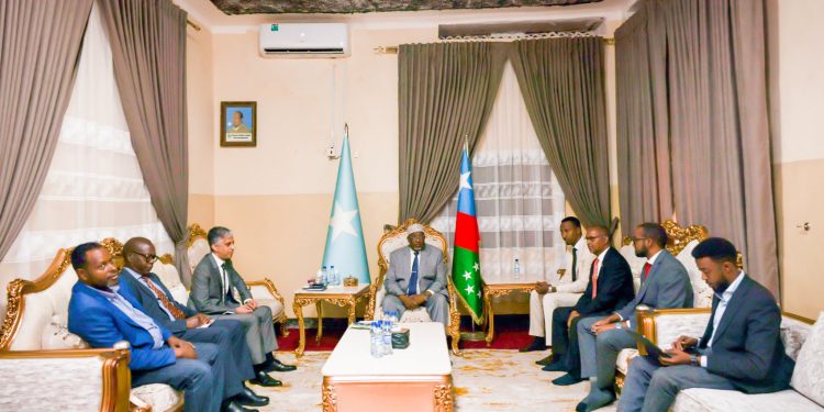 آدم مدوبي يبحث مع الأمم المتحدة دعم استقرار جنوب الغرب