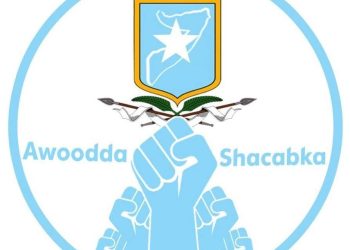 انسحاب «قوة الشعب» يهز تحالف «هيبة الوطن» السياسي