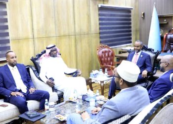 رئيس مجلس الشعب يبحث مع سفير السعودية تعزيز العلاقات