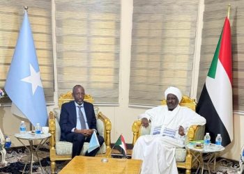 السودان والصومال يعززان التعاون التعليمي والأكاديمي