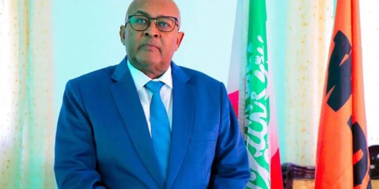 عِرّو يطرح تحويل أرض الصومال إلى «جيبوتي جديدة»