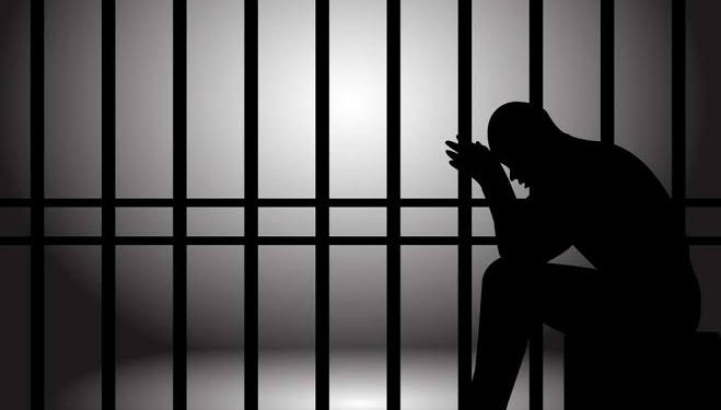 الإمارات تســـلّم هولنديًا من أصـول صومالية إلى بلاده