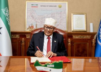 عرّو يتهم تركيا ومصر بالتحرك ضد مساعي صوماليلاند للاعتراف