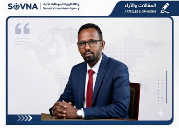سيطرة الحوثيين على باب المندب وتداعياتها على أمن القرن الإفريقي