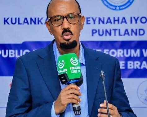 بونتلاند تتهم الحكومة الفيدرالية بإنشاء قراصنة بسواحلها