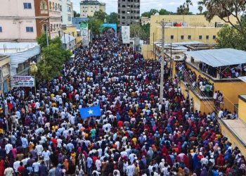 مظاهرات في بلدوين احتجاجًا على مسار انتخابات هيرشبيلي