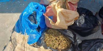 قوات جنوب غرب تضبط مواد مخدرة في وانلاوين