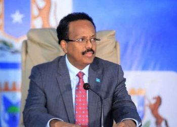 فرماجو يتهم الرئيس بتعطيل التوافق الانتخابي